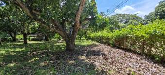 MLS-25-1948 LS VENTA LOTE LA CEIBA OROTINA