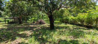 MLS-25-1948 LS VENTA LOTE LA CEIBA OROTINA