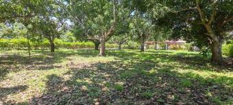 MLS-25-1948 LS VENTA LOTE LA CEIBA OROTINA