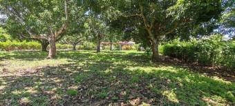 MLS-25-1948 LS VENTA LOTE LA CEIBA OROTINA