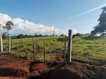 Se vende amplia finca de 180 hectáreas en Paso Real de San Carlos 23-1716 Se vende amplia finca de 180 hectáreas en Paso Real de San Carlos 23-1716
