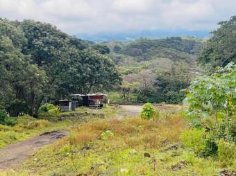 Se vende amplio lote de 1.7 hectáreas en Barva Heredia 25-957 Se vende amplio lote de 1.7 hectáreas en Barva Heredia 25-957