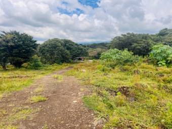 Se vende amplio lote de 1.7 hectáreas en Barva Heredia 25-957 Se vende amplio lote de 1.7 hectáreas en Barva Heredia 25-957