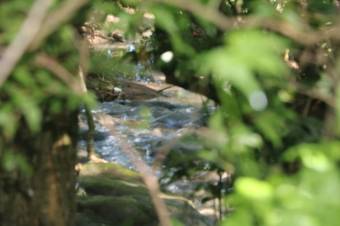 Se vende casa con lote de 5,400m2 en Brasil Santa Ana 24-393 Se vende casa con lote de 5,400m2 en Brasil Santa Ana 24-393