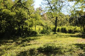 Se vende casa con lote de 5,400m2 en Brasil Santa Ana 24-393 Se vende casa con lote de 5,400m2 en Brasil Santa Ana 24-393