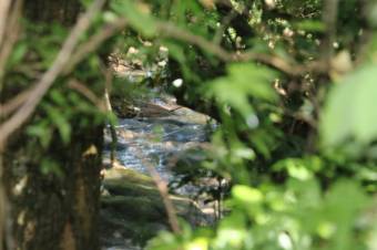 Se vende casa con lote de 5,400m2 en Brasil Santa Ana 24-393 Se vende casa con lote de 5,400m2 en Brasil Santa Ana 24-393