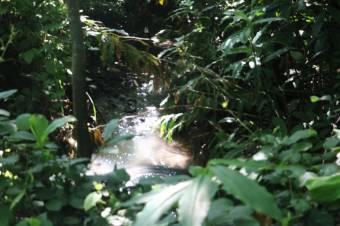 Se vende casa con lote de 5,400m2 en Brasil Santa Ana 24-393 Se vende casa con lote de 5,400m2 en Brasil Santa Ana 24-393