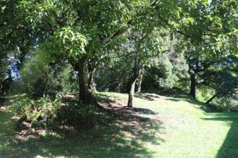 Se vende casa con lote de 5,400m2 en Brasil Santa Ana 24-393 Se vende casa con lote de 5,400m2 en Brasil Santa Ana 24-393