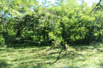 Se vende casa con lote de 5,400m2 en Brasil Santa Ana 24-393 Se vende casa con lote de 5,400m2 en Brasil Santa Ana 24-393