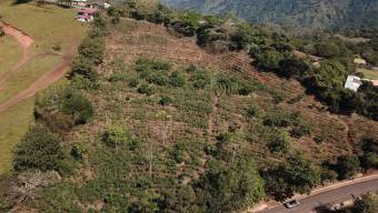 Se vende lote con mas de 2 hectáreas en Santiago de Puriscal 24-898 Se vende lote con mas de 2 hectáreas en Santiago de Puriscal 24-898