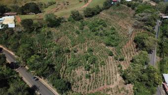 Se vende lote con mas de 2 hectáreas en Santiago de Puriscal 24-898 Se vende lote con mas de 2 hectáreas en Santiago de Puriscal 24-898