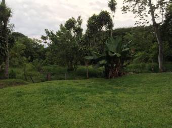 Se vende casa con mas de 10,000m2 de lote en Bajo carrillo 23-1944 Se vende casa con mas de 10,000m2 de lote en Bajo carrillo 23-1944