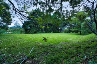 Se vende lote con mas de 10,500m2 en San Isidro Heredia 25-1376 Se vende lote con mas de 10,500m2 en San Isidro Heredia 25-1376
