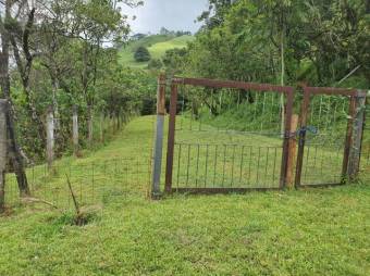 Se vende amplia propiedad con 10,400m2 de lote en Ciudad Colón 24-1029 Se vende amplia propiedad con 10,400m2 de lote en Ciudad Colón 24-1029