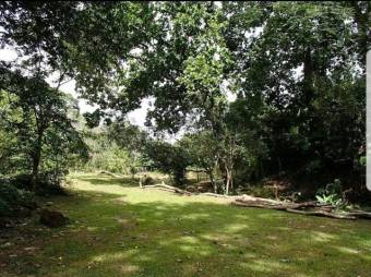 Se vende propiedad con 1.3 hectáreas de lote en Turrucares Alajuela 25-1546 Se vende propiedad con 1.3 hectáreas de lote en Turrucares Alajuela 25-1546