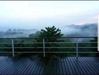 Se vende propiedad con 1.3 hectáreas de lote en Turrucares Alajuela 25-1546 Se vende propiedad con 1.3 hectáreas de lote en Turrucares Alajuela 25-1546