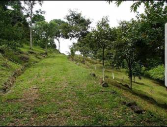 Se vende propiedad con 1.3 hectáreas de lote en Turrucares Alajuela 25-1546 Se vende propiedad con 1.3 hectáreas de lote en Turrucares Alajuela 25-1546