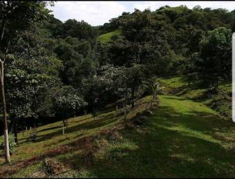 Se vende propiedad con 1.3 hectáreas de lote en Turrucares Alajuela 25-1546 Se vende propiedad con 1.3 hectáreas de lote en Turrucares Alajuela 25-1546