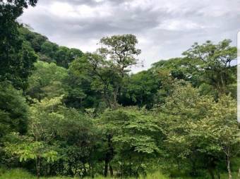 Se vende propiedad con 1.3 hectáreas de lote en Turrucares Alajuela 25-1546 Se vende propiedad con 1.3 hectáreas de lote en Turrucares Alajuela 25-1546