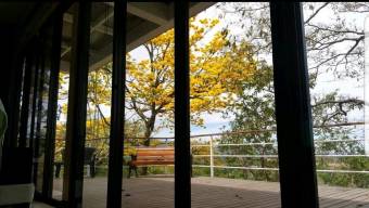 Se vende propiedad con 1.3 hectáreas de lote en Turrucares Alajuela 25-1546 Se vende propiedad con 1.3 hectáreas de lote en Turrucares Alajuela 25-1546