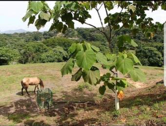 Se vende propiedad con 1.3 hectáreas de lote en Turrucares Alajuela 25-1546 Se vende propiedad con 1.3 hectáreas de lote en Turrucares Alajuela 25-1546