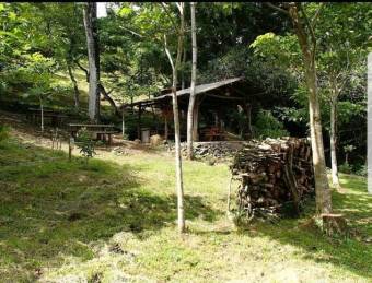 Se vende propiedad con 1.3 hectáreas de lote en Turrucares Alajuela 25-1546 Se vende propiedad con 1.3 hectáreas de lote en Turrucares Alajuela 25-1546