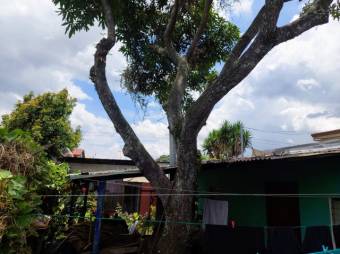 Se vende casa con apartamento en Alajuela Centro 23-427 Se vende casa con apartamento en Alajuela Centro 23-427