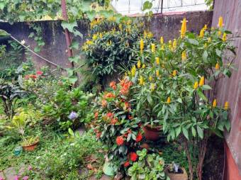 Se vende casa con apartamento en Alajuela Centro 23-427 Se vende casa con apartamento en Alajuela Centro 23-427