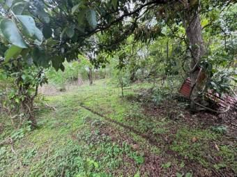 Se vende espaciosa casa con patio en San Antonio Heredia 25-1902 Se vende espaciosa casa con patio en San Antonio Heredia 25-1902