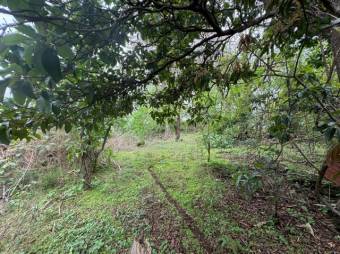 Se vende espaciosa casa con patio en San Antonio Heredia 25-1902 Se vende espaciosa casa con patio en San Antonio Heredia 25-1902