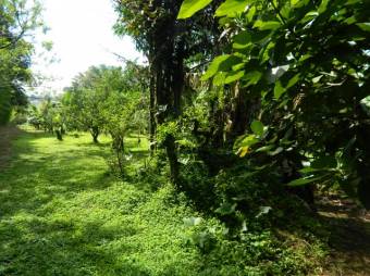 Se vende lote plano con mas de 6,800m2 en Desamparados Alajuela 24-1797 Se vende lote plano con mas de 6,800m2 en Desamparados Alajuela 24-1797