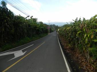 Se vende lote plano con mas de 6,800m2 en Desamparados Alajuela 24-1797 Se vende lote plano con mas de 6,800m2 en Desamparados Alajuela 24-1797