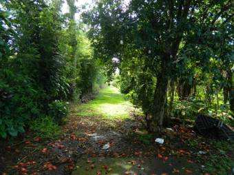 Se vende lote plano con mas de 6,800m2 en Desamparados Alajuela 24-1797 Se vende lote plano con mas de 6,800m2 en Desamparados Alajuela 24-1797