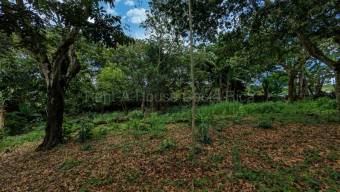 Venta de Lote en Naranjo-Cirri Sur, Alajuela. RAH 26-2100