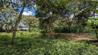 Venta de Lote en Naranjo-Cirri Sur, Alajuela. RAH 26-2100