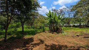 Venta de Lote en Naranjo-Cirri Sur, Alajuela. RAH 26-2100