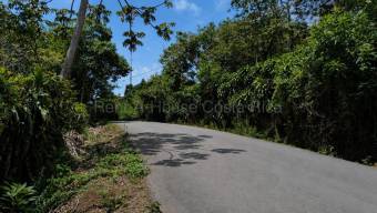 Venta de Lote en Naranjo-Cirri Sur, Alajuela. RAH 26-2100