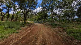 Venta de Lote en Naranjo-Cirri Sur, Alajuela. RAH 26-2100