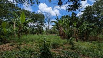 Venta de Lote en Naranjo-Cirri Sur, Alajuela. RAH 26-2100