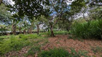 Venta de Lote en Naranjo-Cirri Sur, Alajuela. RAH 26-2100