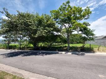 Venta lote plano uso mixto Santa Ana