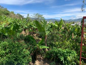 Venta terreno con contenedor habitable y árboles frutales #26-2238 GS
