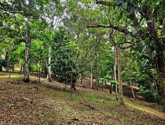 FINCA CON PONTENCIAL COMERCIAL OROTINA, ALAJUELA #20901cgsa