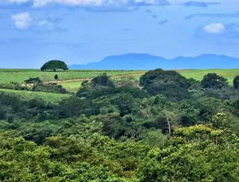 FINCA CON PONTENCIAL COMERCIAL OROTINA, ALAJUELA #20901cgsa