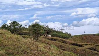 Venta  23 hectáreas de oportunidades con vistas espectaculares en Tarrazú #26-2254