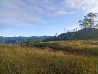 Venta  23 hectáreas de oportunidades con vistas espectaculares en Tarrazú #26-2254