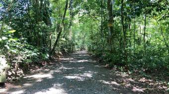 Venta  Finca con río, catarata y enorme potencial turístico en San Carlos #26-2253 GS