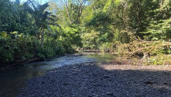 Venta  Finca con río, catarata y enorme potencial turístico en San Carlos #26-2253 GS