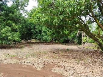 Venta de terreno plano con anteproyecto residencial #26-2228 GS Venta de terreno plano con anteproyecto residencial #26-2228 GS