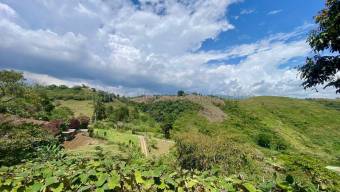 Venta de Hermoso Lote en Paraíso de Cartago. RAH 27-28